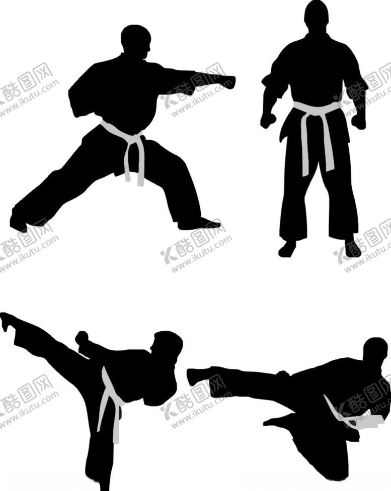 编号：87473110310830575287【酷图网】源文件下载-功夫武术