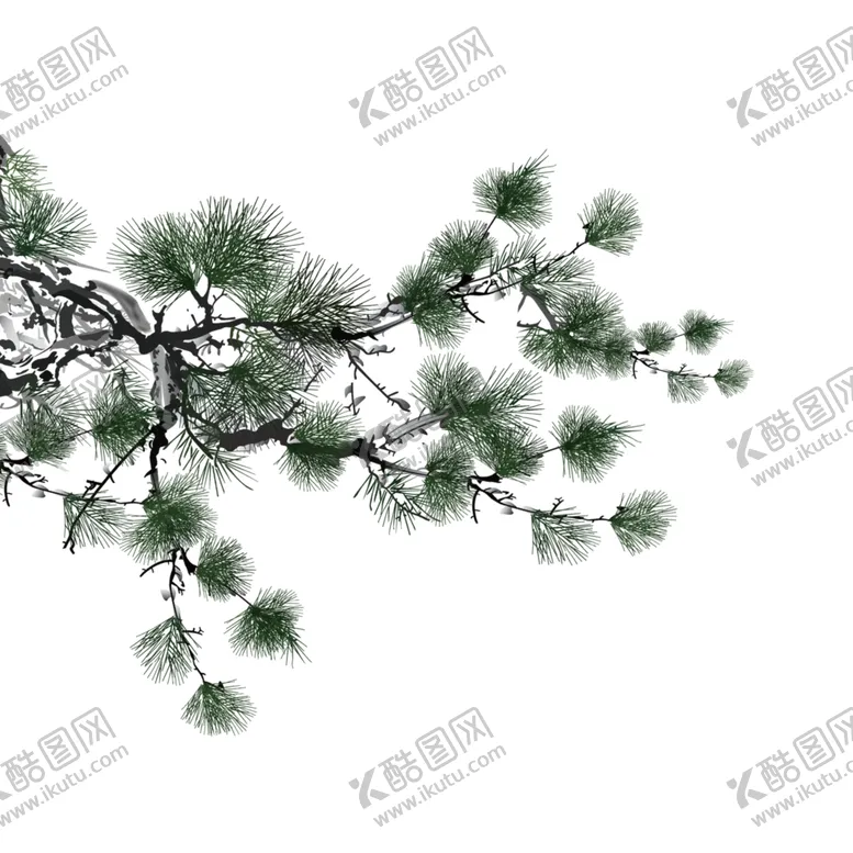 编号：49854704071908081371【酷图网】源文件下载-松树绘画素材