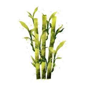 手绘彩色蔬菜免扣素材图片
