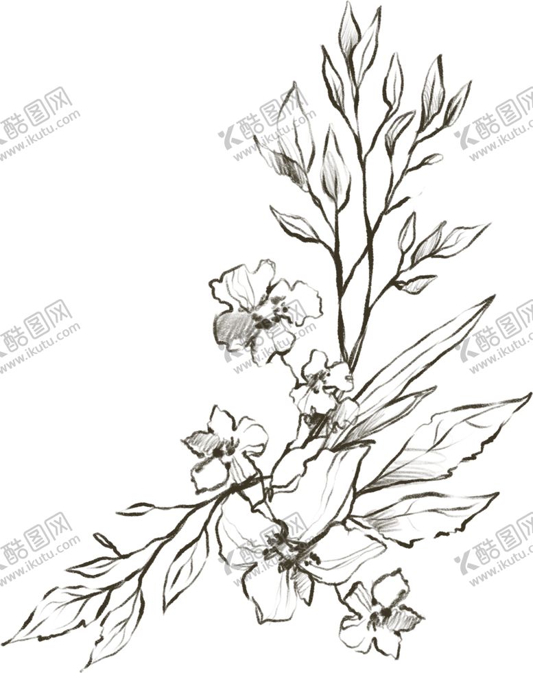 编号：26201709211822347361【酷图网】源文件下载-彩绘植物边框