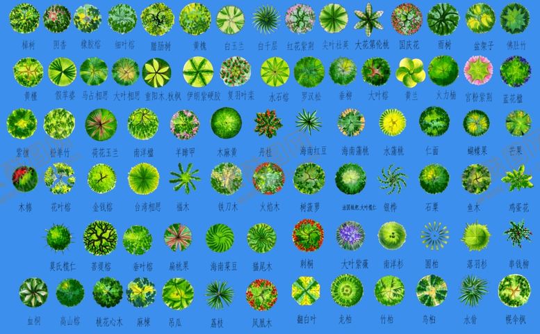 编号：89979209241335484090【酷图网】源文件下载-乔木