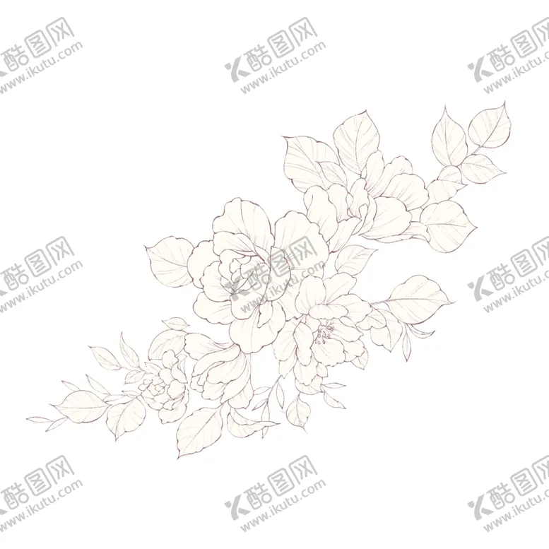 编号：76559501232208373367【酷图网】源文件下载-黑白线条花卉手绘植物花草手绘花
