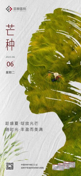 芒种海报剪影医美大气二十四节气