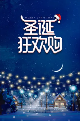圣诞狂欢购节日活动节海报标语
