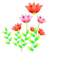 鲜花装饰唯美桔梗边纹风信子