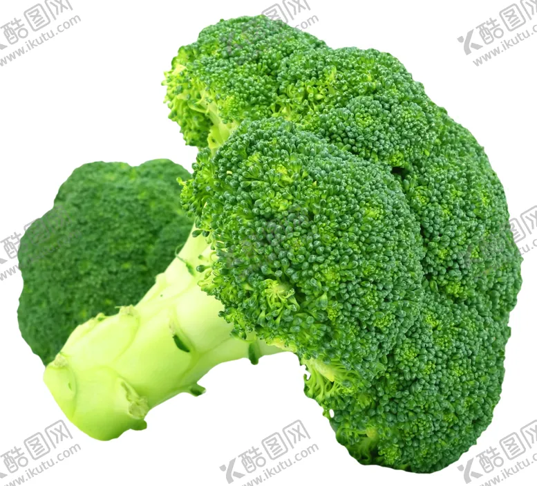 编号：31156406281445494280【酷图网】源文件下载-西蓝花