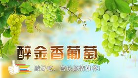 醉金香葡萄