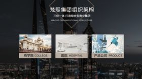 医美PPT海报