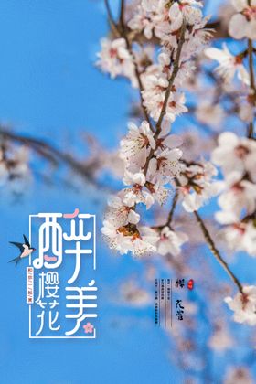 樱花节  春暖花开 春季海报 