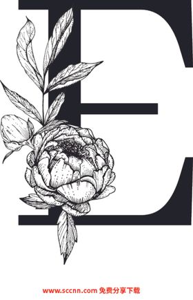 字母E