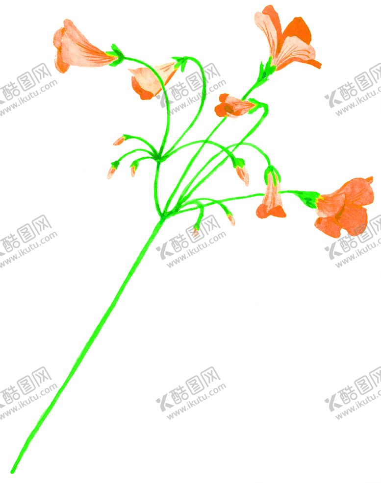 编号：22611710251840515032【酷图网】源文件下载-花素材