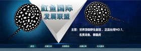 魟鱼观赏鱼水族海报banner