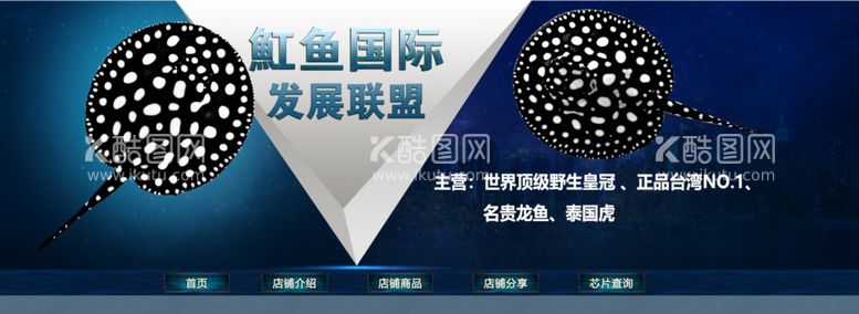 编号：82577711251138372747【酷图网】源文件下载-魟鱼观赏鱼水族海报banner