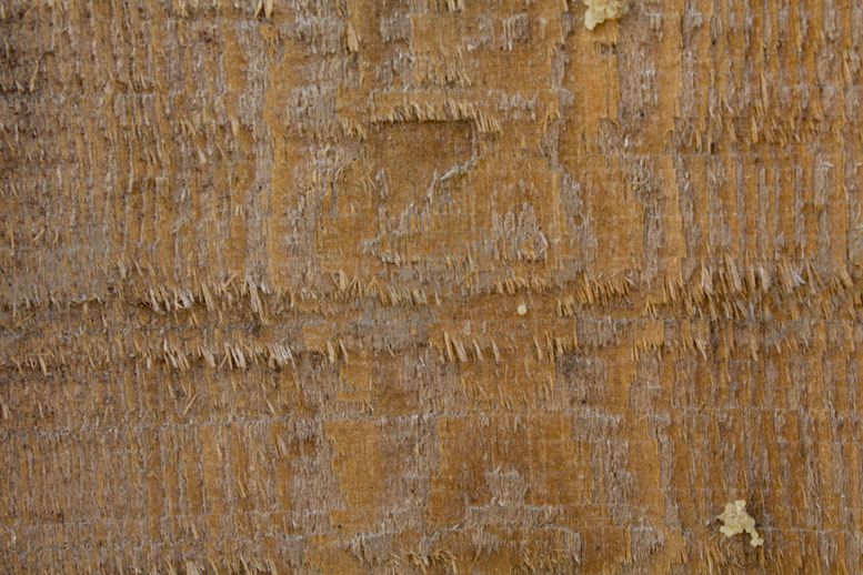 编号：56164709270804081711【酷图网】源文件下载-树皮