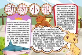 拼音小报小学生作业动物海报