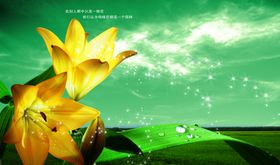 自然雅致清新百合花宣传海报