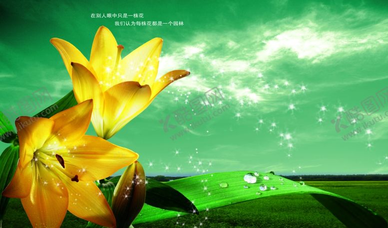 编号：79259409241228087273【酷图网】源文件下载-自然雅致清新百合花宣传海报