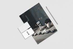 品牌样机logo标志纸箱烫金银