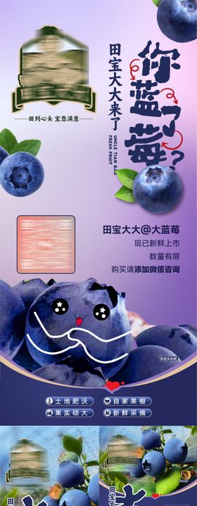 水果蓝莓大棚采摘宣传活动海报