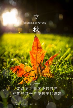 立秋秋叶海报设计模板