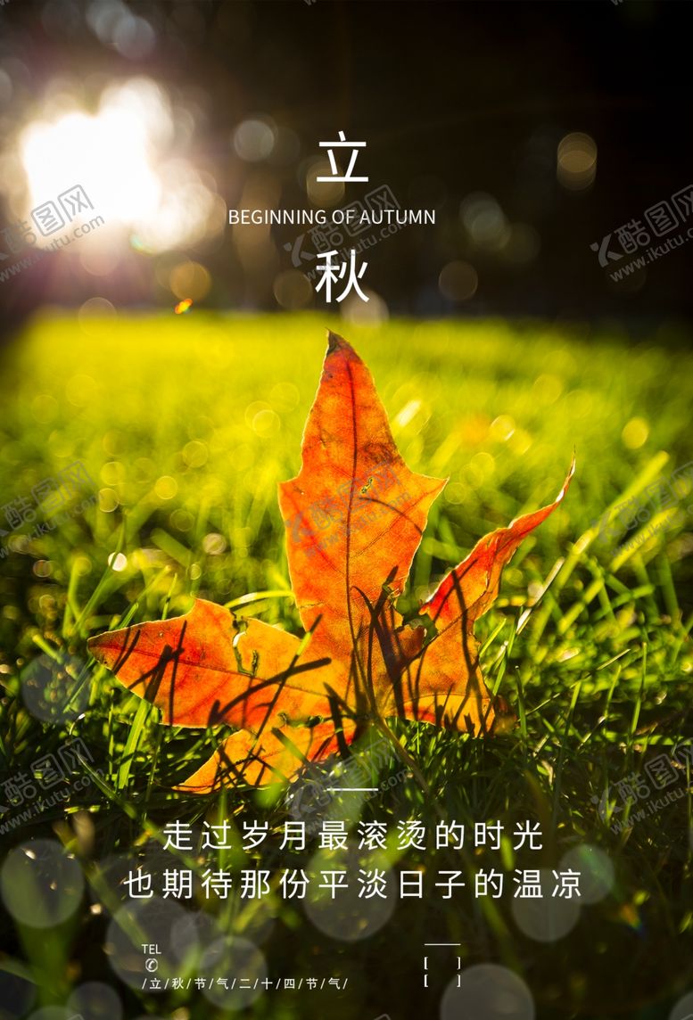编号：12192507071125096120【酷图网】源文件下载-立秋秋叶海报设计模板