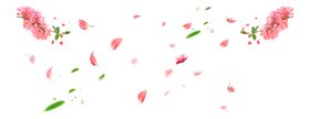 春天踏青桃花樱花树叶海报素材