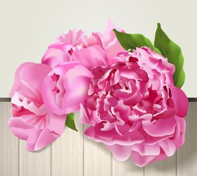 粉色牡丹花