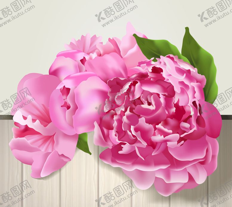 编号：47436910280253597765【酷图网】源文件下载-粉色牡丹花