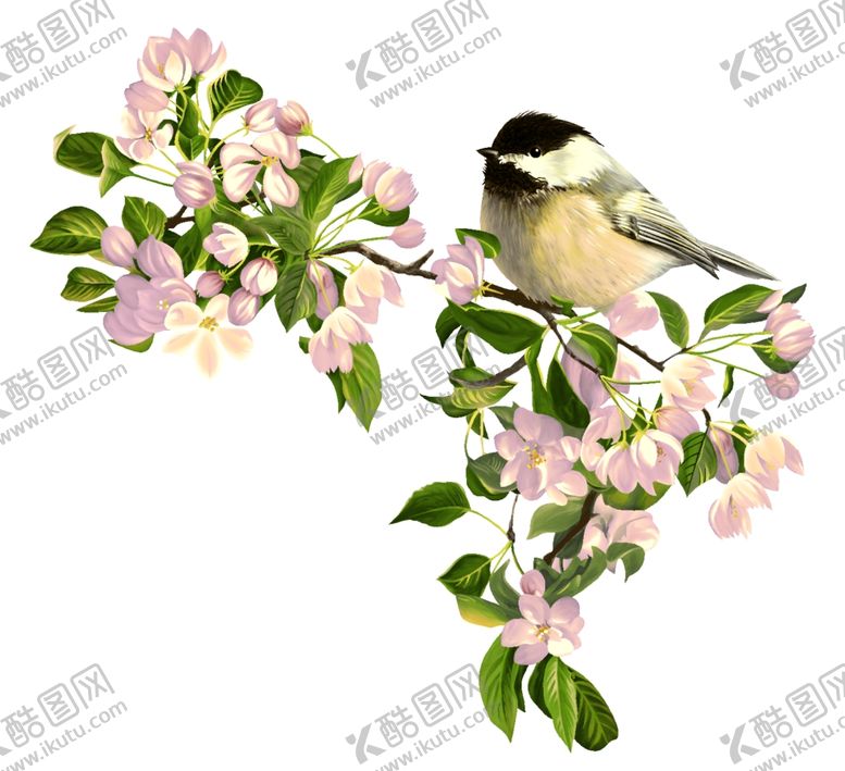 编号：91803409131802412371【酷图网】源文件下载-鸟语花香