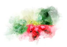 花卉背景手绘北欧植物沙发手绘