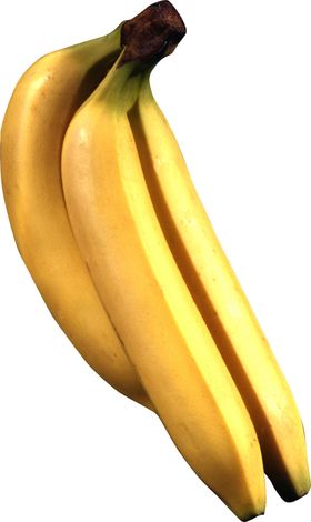 香蕉