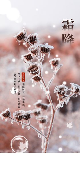 霜降节气问候朋友圈图节气海报宣传海报