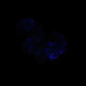 梦幻背景星空手机壁纸高清