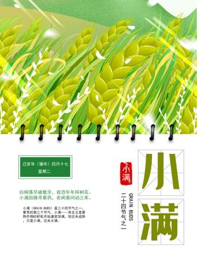 小满节气朋友圈海报大气