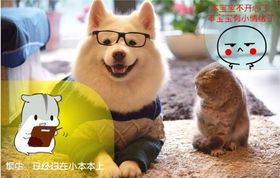 宝宝开心幼儿园宣传