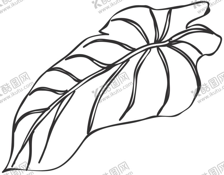 编号：79316206240159224245【酷图网】源文件下载-手绘植物花卉