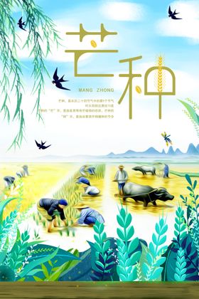 芒种传统24简约海报二十四节气节气海报