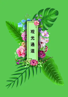 花卉绿叶绿色植物多肉叶子
