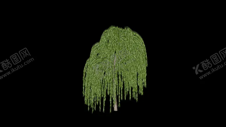 编号：56917810280149167653【酷图网】源文件下载-3d柳树