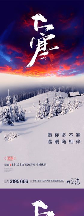 大雪大寒小寒小雪节气系列海报