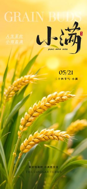 小满节气麦穗中式插画海报