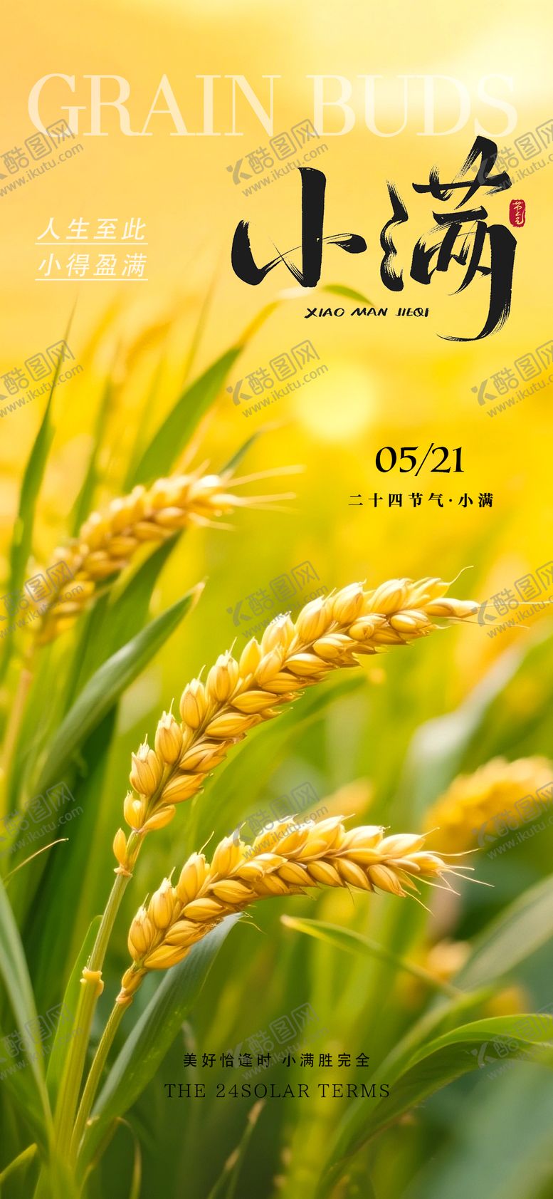 编号：18211105230033368599【酷图网】源文件下载-小满麦穗海报