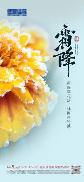 简约大气霜降节气稿