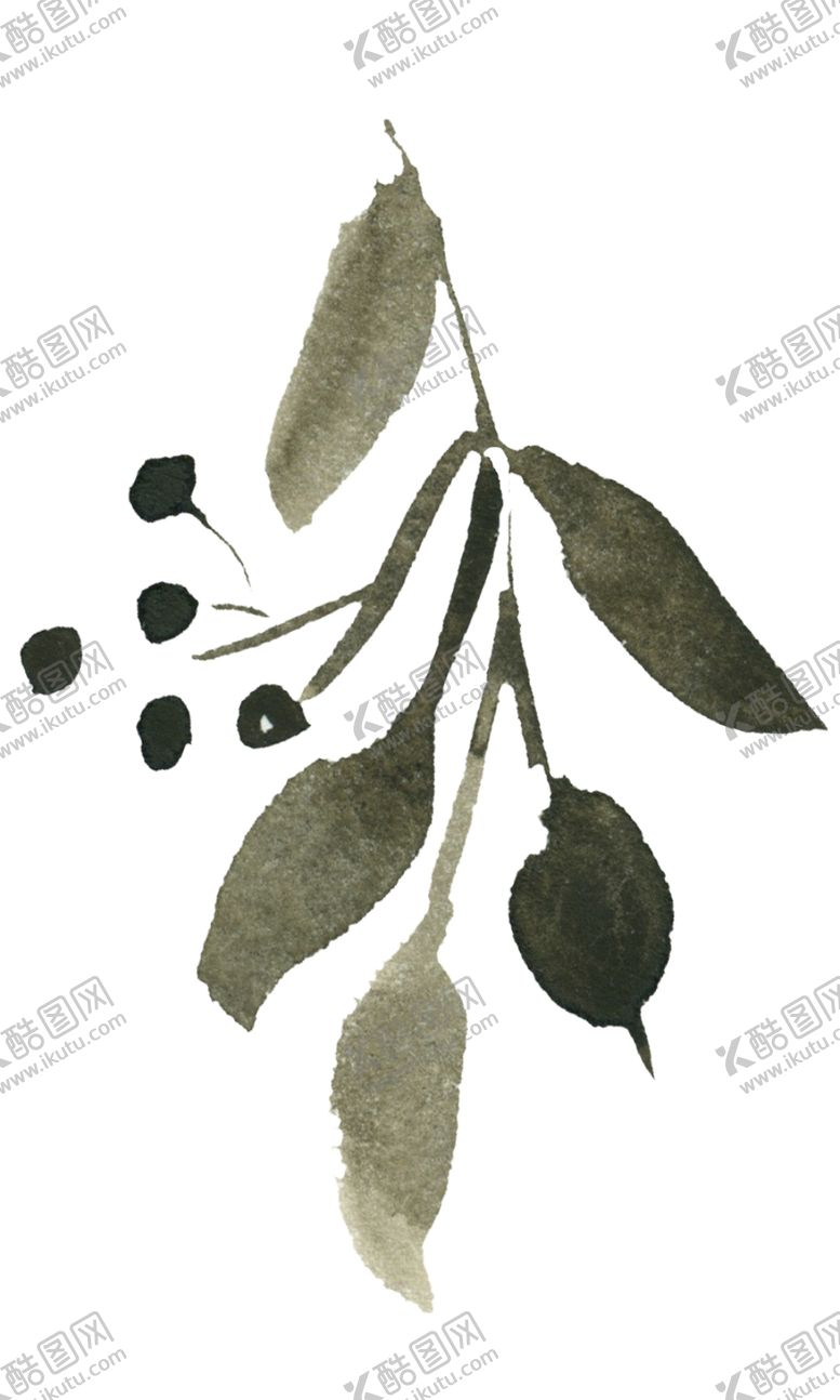 编号：86072210060940504441【酷图网】源文件下载-花卉树叶