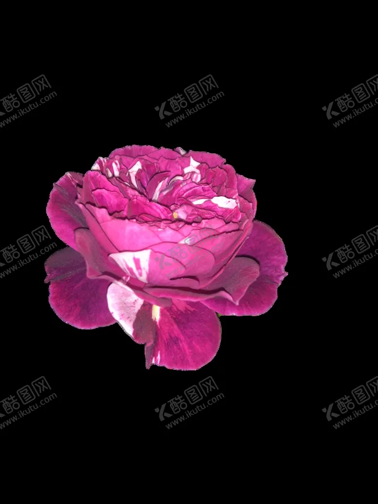编号：47956809251443483412【酷图网】源文件下载-芬芳宝石免抠图
