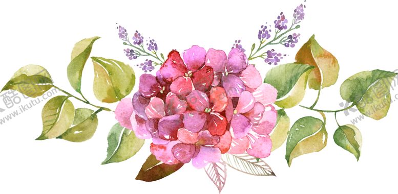 编号：16839005052148074268【酷图网】源文件下载-水彩手绘花卉花朵植物