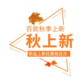 秋上新