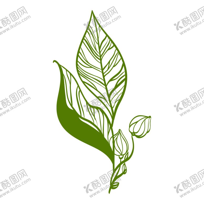 编号：60834110200016272901【酷图网】源文件下载-手绘植物