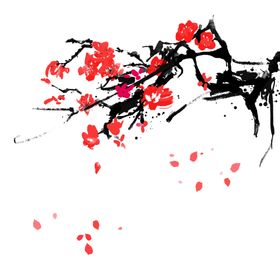 中国风水墨梅