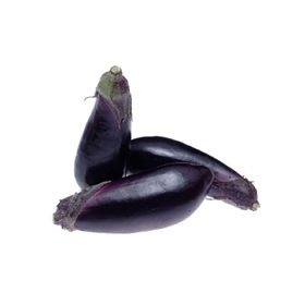 茄子素材